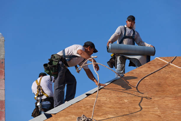 Best New Roof Installation  in Asheville, NC