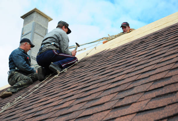 Best Storm Damage Roof Repair  in Asheville, NC